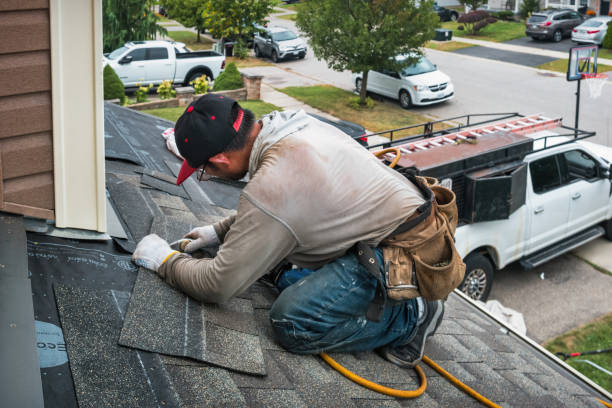 Professional Storm Damage Roof Repair technician working in Astoria, IL